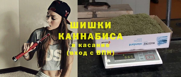 ПСИЛОЦИБИНОВЫЕ ГРИБЫ Липки