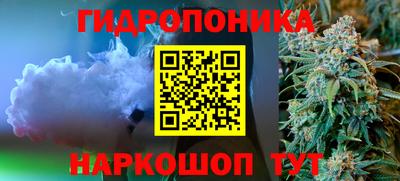 крисы Лесосибирск