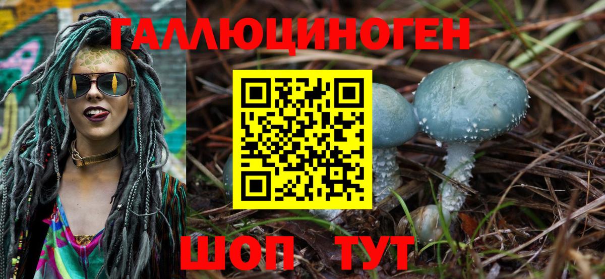 Феодосия  Галлюциногенные грибы мухоморы  Галлюциногенные грибы GOLDEN TEACHER  Вход с VPN 